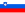 SLOVENIAN